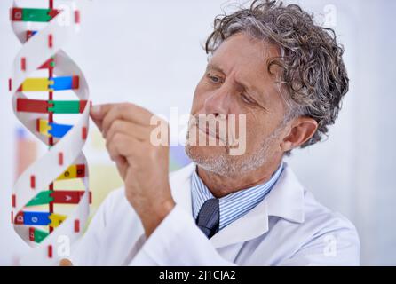 A passion for science. A mature scientist working on a DNA model in his lab. Stock Photo