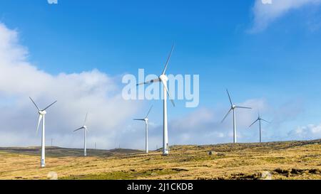 A large group of wind turbines on the Faroe Islands Stock Photo