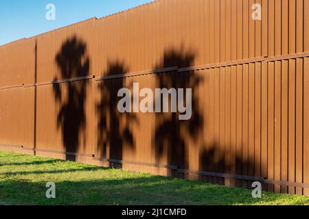 Shadows of palm trees on the  U.S. - Mexico border wall near Brownsville, Texas in late afternoon light.  Viewed from Texas side of the wall. Stock Photo