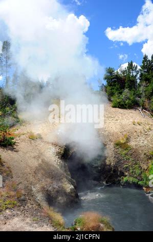 Dragon's Mouth Spring spews steam and smoke from entrance.  Hot Spring is in the Mud Volcano area of Yellowstone National Park. Stock Photo