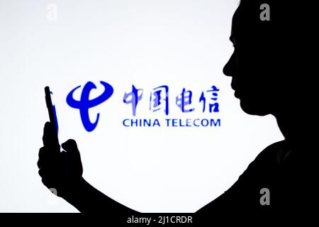 Brazil. 30th Mar, 2022. In this photo illustration, a woman's silhouette  holds a smartphone with the Walmart logo in the background (Photo by Rafael  Henrique/SOPA Images/Sipa USA) Credit: Sipa USA/Alamy Live News Stock Photo  - Alamy