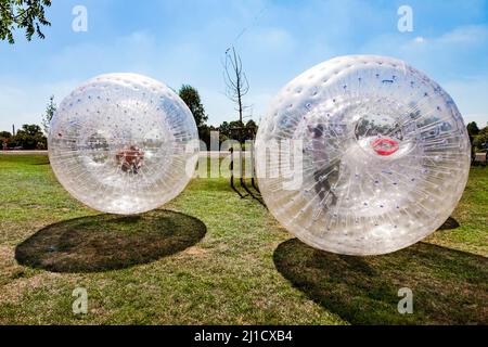 children have a lot of fun in the Zorbing Ball Stock Photo