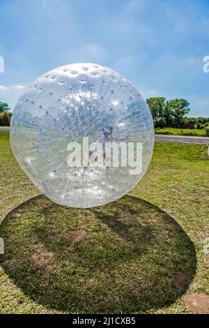 children have a lot of fun in the Zorbing Ball Stock Photo