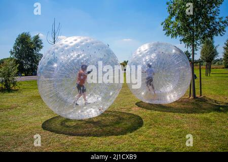 children have a lot of fun in the Zorbing Ball Stock Photo