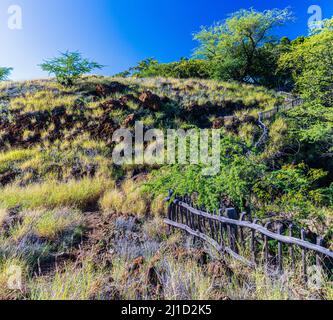 Wooden Fence Along The Ala Kahakai Trail National Historic Trail, Hawaii Island, Hawaii, USA Stock Photo