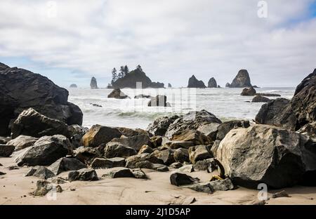 The southern Olympic Coast of Washington State, USA. Giants Graveyard. Stock Photo