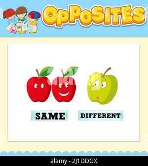 Opposite words for same and different illustration Stock Vector Image ...