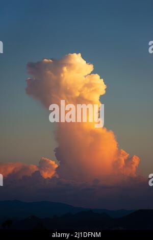 Cumulonimbus cloud above Tucson, Arizona in the Sonoran Desert at sunset during the summer storm season Stock Photo