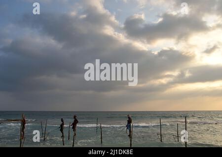 Fishermen on stilts, southern coast of Sri Lanka, late afternoon Stock Photo