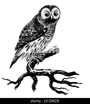 Owl bird on a tree. Ink black and white illustration Stock Photo - Alamy