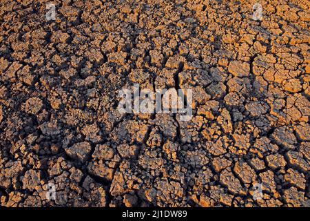 Dry lake, Mana Pools NP, Zimbabwe. Hot season in Africa. Dry summer landscape with blue sky and white clouds, White grey muddy clay lake. Summer witho Stock Photo