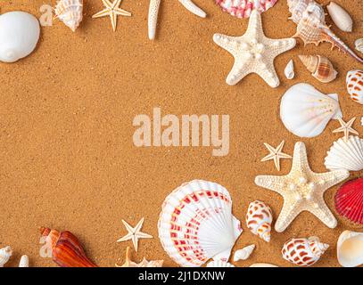 Different types of shells on yellow sand. Top view, horizontal. Sea background. Stock Photo