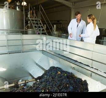 Winemakers controlling crushing of grapes Stock Photo