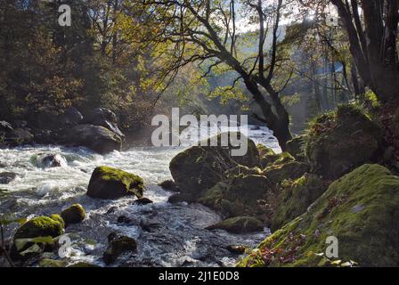 Photograph of River Llugwy (Afon Llugwy) in spate Betws-y-Coed Snowdonia National Park Gwynedd North Wales United Kingdom Europe Stock Photo