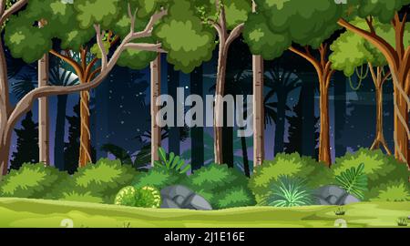 Forest horizontal scene at night with many pine trees background ...