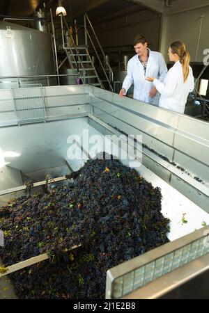 Two engineers of winery controlling process Stock Photo