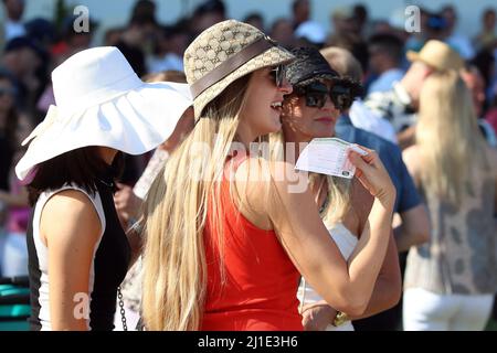 04.09.2021, Germany, Baden-Wuerttemberg, Iffezheim - elegantly dressed women with hats amuse themselves on the racecourse. 00S210904D358CAROEX.JPG [MO Stock Photo