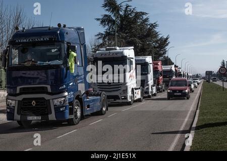 Burgos, Spain. 24th Mar, 2022. A queue of trucks stops on Madrid-Irun highway during the protest. Truckers join the transport strike as they pass through the city of Burgos. The strike is due to the rise in fuel prices and their working conditions, they have been paralyzing the country for a week. (Photo by Jorge Contreras Soto/SOPA Images/Sipa USA) Credit: Sipa USA/Alamy Live News Stock Photo