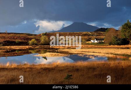 Llyn Sarnau with lakeland cottage and distant mountain Moel Siobad in autumn Gwydyr Forest, Snowdonia National Park Gwynedd North Wales UK Stock Photo