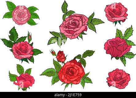 Set of red roses on isolated background. Leaves, flower, beauty. Can be used for topics like pattern, background, floral Stock Vector