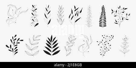 Leaves and twigs on an isolated white background Stock Vector Image ...