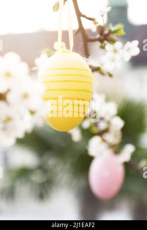 Colorful Easter eggs hangs on a spring flowering branch in the fresh air. Evergreen palm trees blurred in the background. Happy holidays Stock Photo