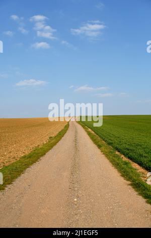 Arable agriculture, dirt road across farm fields without trees or hedgerows. Stock Photo