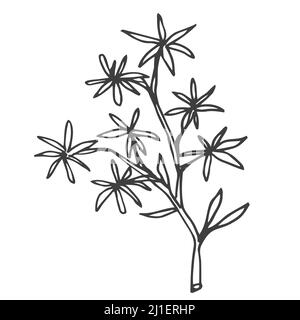 Floral doodle design elements. Hand drawn decorative leaves and wreaths. Flower ornament dividers. Tree branches Stock Vector