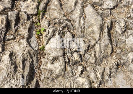 Fractured surface of an outcropping of rock, background, pattern, texture. Stock Photo