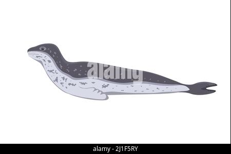 Leopard seal. Vector illustration of northern sea leopard isolated on white background. Stock Vector