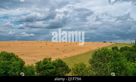 Cornfields on which bales of straw remain after harvest. Wheat was harvested. Food and fodder for livestock. Landscape shot of fields and meadows with Stock Photo