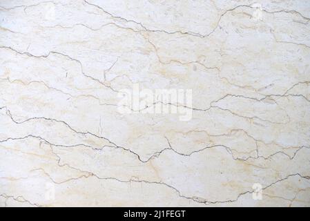 fossil limestone rock slab texture natural background Stock Photo
