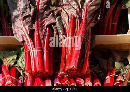 Italy, Stall Market, Rhubarb Chard,  Swiss Chard