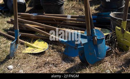 Buckets, blue and yellow shovels for planting trees Stock Photo