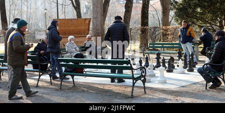 Older residents of Innsbruck play outdoor chess in the Hofgarten (Imperial Gardens, royal gardens) Innsbruck, Austria Stock Photo