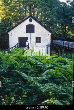 An abandoned water mill house amid trees and bushes in sormland sweden Stock Photo