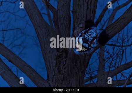 Terrifying Scary Clown Mask with Large Fangs in a Spooky Tree with at Twilight or Night Stock Photo