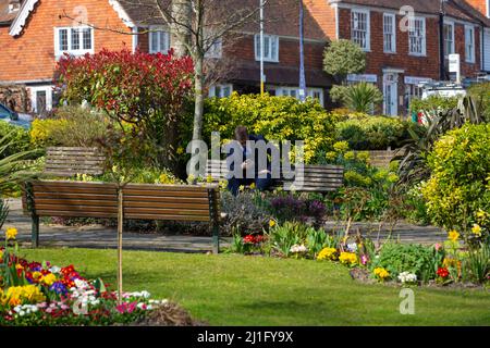 A man in a suit sitting on a park bench mobile in hand surrounded by colourful spring flowers, tenterden, kent, uk Stock Photo