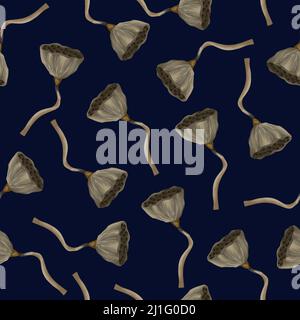 Seamless pattern with dried lotos. Vector Stock Vector