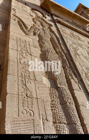 Defaced carving of the goddess Isis on the western tower of the first pylon of the Temple of Isis at Philae Stock Photo