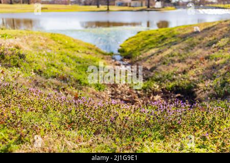 Sunny view of landscape in MacArthur Park at Arkansas Stock Photo