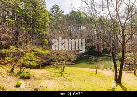 Sunny view of the Japanese garden in Garvan Woodland Gardens at Arkansas Stock Photo