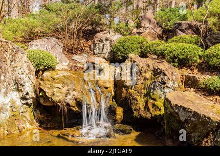 Sunny view of the Japanese garden in Garvan Woodland Gardens at Arkansas Stock Photo