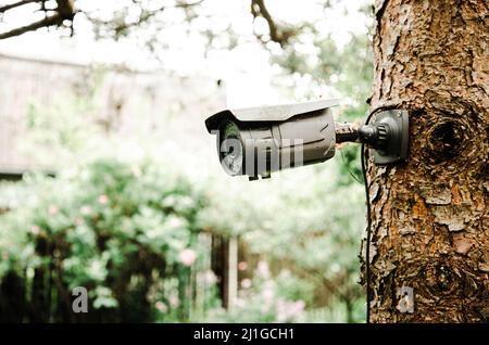 Gray surveillance camera hanging on a tree in the garden Stock Photo