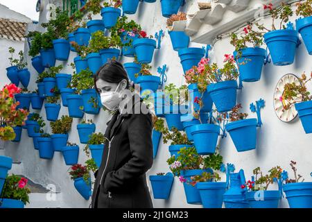 State of mind and feelings: pensive black and white young woman with face mask on background of indigo blue flower pots Stock Photo