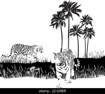 Tigers in the wild Stock Vector