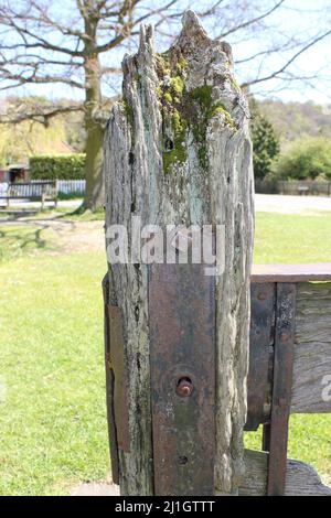 Original Stocks, Aldbury Village in Spring, Hertfordshire, England, UK Stock Photo