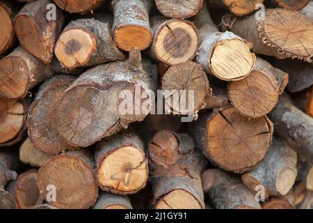 Pile of stacked wood. Close up and front view. Stock Photo