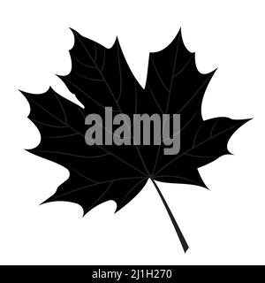 Maple leaf silhouette. Vector illustration of an element for decoration and design. Stock Vector