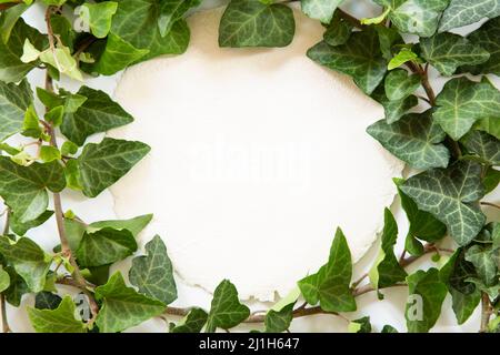 Craft paper blank note with the green leaves Stock Photo